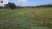 Tympaki Olivenhain 5.500 m² in Tympaki, Kreta zu verkaufen Grundstück kaufen